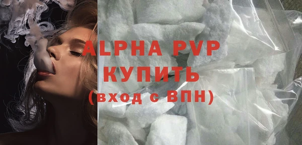 твердый Бородино
