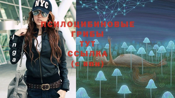 гидропоника Всеволожск