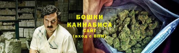 твердый Бородино