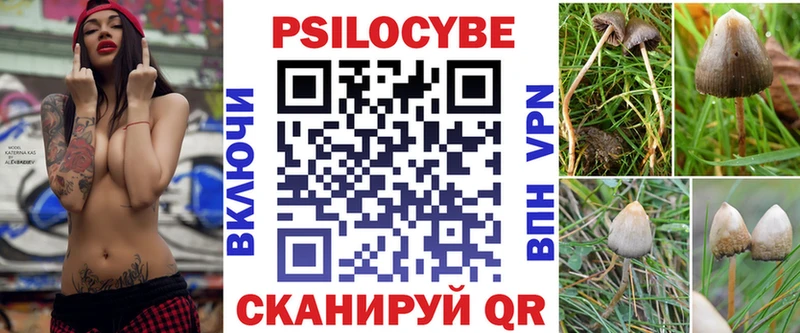 Псилоцибиновые грибы Cubensis  наркота  Горно-Алтайск 