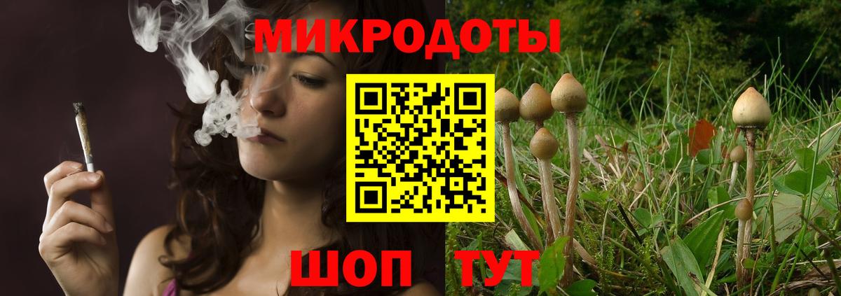 Галлюциногенные грибы прущие грибы  Вход с VPN  Горно-Алтайск  Галлюциногенные грибы Psilocybine cubensis 