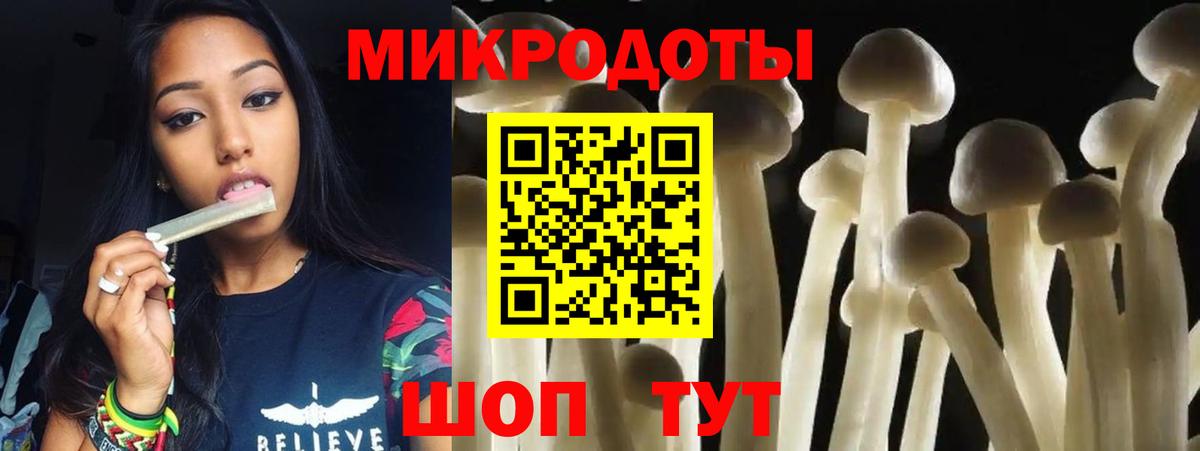 Псилоцибиновые грибы мухоморы Горно-Алтайск