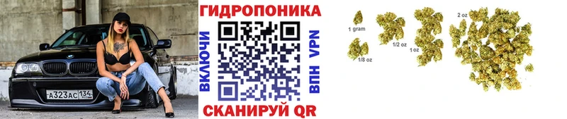 закладка  OMG маркетплейс  МАРИХУАНА Amnesia  Горно-Алтайск 